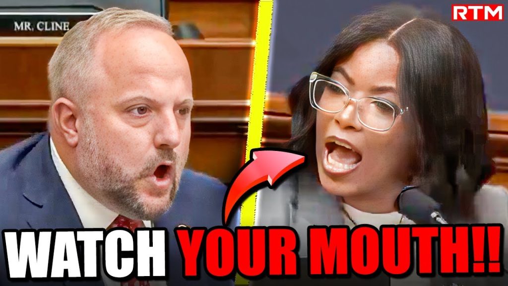 Jasmine Crockett Makes A Fool Out Of Herself And MAGA Republican Destroys Her