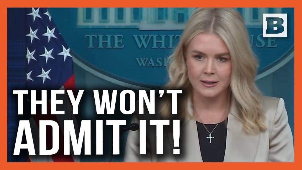 They Won’t Admit It! Karoline Leavitt Smacks Down Reporter Denying Healthcare Funding to Illegals