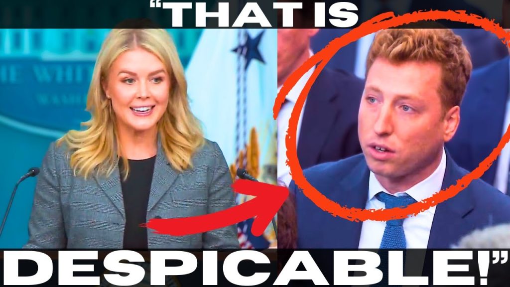 This Just Might Be Karoline Leavitt’s Most Brutal Takedown Of A Reporter Ever.