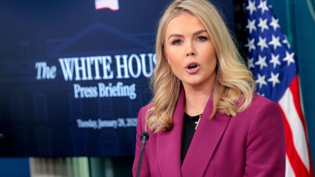 Karoline Leavitt Goes Scorched Earth – Liberal Reporter Left Reeling