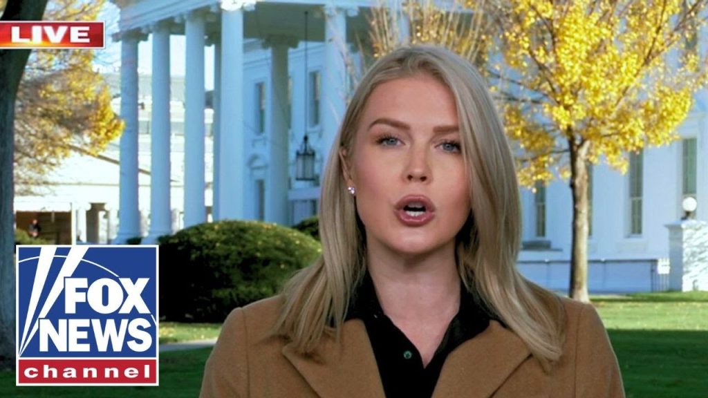 Karoline Leavitt puts Dems on BLAST